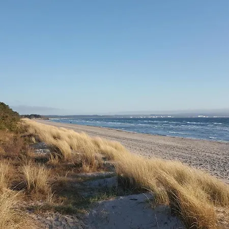 Sunny * Binz